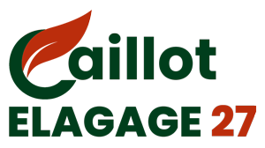 elagage-27-caillot-elagage